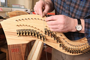 Harps