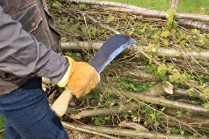 Traditional Prints: Hedging