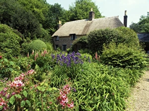 Higher Bockhampton