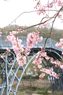 Ironbridge