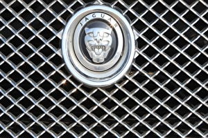 <b class=qtipBold><figcaption>Jaguar</figcaption></b><br>The radiator grill and badge on a Jaguar XF luxury saloon car<br><em>© Paul Felix Photography Twelve Beacon Park Pelynt nr Looe Cornwall PL13 2PQ photos@paulfelix.co.uk 01503 221069</em> Jaguar