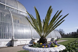 <b class=qtipBold><figcaption>Kew Gardens</figcaption></b><br>The Palm House at Kew Gardens<br><em>© Paul Felix Photography Twelve Beacon Park Pelynt nr Looe Cornwall PL13 2PQ photos@paulfelix.co.uk 01503 221069</em> Kew Gardens