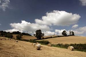 Late Summer in the Cotswolds
