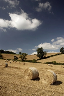 Late Summer in the Cotswolds