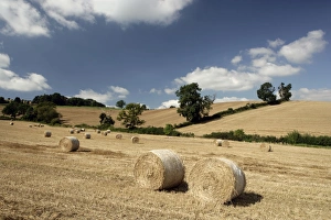 Late Summer in the Cotswolds