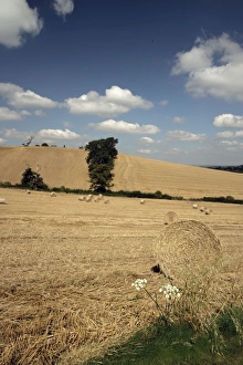 Late Summer in the Cotswolds