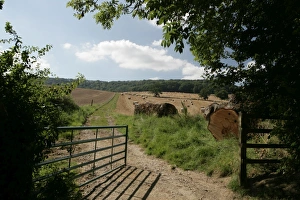 Late Summer in the Cotswolds