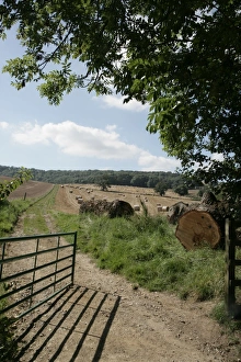 Late Summer in the Cotswolds
