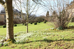 Painswick