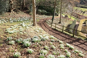Painswick