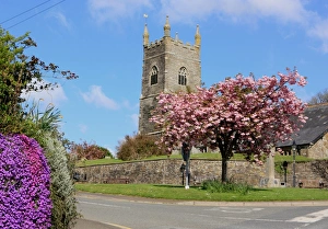 <b class=qtipBold><figcaption>Pelynt</figcaption></b><br>The village green at Pelynt nr Looe Cornwall on spring day<br><em>© Paul Felix Photography Twelve Beacon Park Pelynt nr Looe Cornwall PL13 2PQ England</em> Pelynt