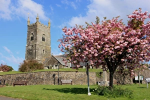 <b class=qtipBold><figcaption>Pelynt</figcaption></b><br>The village green at Pelynt nr Looe Cornwall on spring day<br><em>© Paul Felix Photography Twelve Beacon Park Pelynt nr Looe Cornwall PL13 2PQ England</em> Pelynt