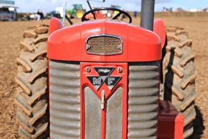 <b class=qtipBold><figcaption>Ploughing Match</figcaption></b><br>Vintage Massey Fergieguso Ploughing Match at Pelynt near Looe in Cornwall on a autumn day<br><em>© Paul Felix Photography Twelve Beacon Park Pelynt nr Looe Cornwall PL13 2PQ photos@paulfelix.co.uk 01503 221069</em> Ploughing Match