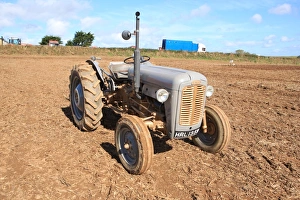 <b class=qtipBold><figcaption>Ploughing Match</figcaption></b><br>Vintage Massey Ferguson ( Little Grey Fergie ) tractor at a Ploughing Match at Pelynt near Looe in Cornwall on a autumn day<br><em>© Paul Felix Photography Twelve Beacon Park Pelynt nr Looe Cornwall PL13 2PQ photos@paulfelix.co.uk 01503 221069</em> Ploughing Match