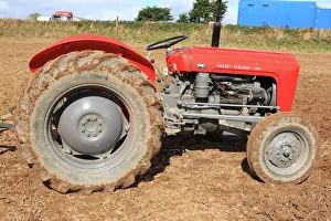 <b class=qtipBold><figcaption>Ploughing Match</figcaption></b><br>Vintage Massey Fergieguso 35 tractor at a Ploughing Match at Pelynt near Looe in Cornwall on a autumn day<br><em>© Paul Felix Photography Twelve Beacon Park Pelynt nr Looe Cornwall PL13 2PQ photos@paulfelix.co.uk 01503 221069</em> Ploughing Match