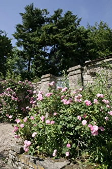 The Garden Gate