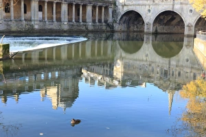 <b class=qtipBold><figcaption>Reflections of Bath</figcaption></b><br>Reflection of Pulteney Bridge in the River Avon with the picturesques stone building on a sunny day in early winter,<br><em>© Paul Felix Photography, Twelve Beacon Park Pelynt near Looe Cornwall PL13 2PQ. 01503 221069 photofs@paulfelix.co.uk</em> Reflections of Bath