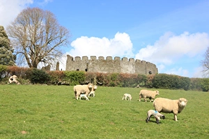 <b class=qtipBold><figcaption>Restormel castle</figcaption></b><br>The 13th century circular keep of Restormel castle at Lostwithiel Cornwall on a spring day<br><em>© Paul Felix Photography Twelve Beacon Park Pelynt nr Looe Cornwall PL13 2PQ photos@paulfelix.co.uk 01503 221069</em> Restormel castle