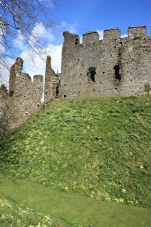 <b class=qtipBold><figcaption>Restormel castle</figcaption></b><br>The 13th century circular keep of Restormel castle at Lostwithiel Cornwall on a spring day<br><em>© Paul Felix Photography Twelve Beacon Park Pelynt nr Looe Cornwall PL13 2PQ photos@paulfelix.co.uk 01503 221069</em> Restormel castle