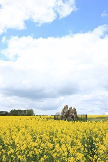 Rollright Stones Rollright Stones