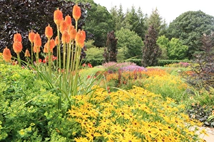 England Prints: Rosemoor