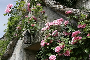<b class=qtipBold><figcaption>Roses</figcaption></b><br>Roses around a door way of an old Farmhouse in the cotswold hamlet of Calmsden near Cirencester<br><em>© Paul Felix Photography Twelve Beacon Park Pelynt nr Looe Cornwall PL13 2PQ photos@paulfelix.co.uk 01503 221069</em> Roses