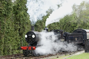 <b class=qtipBold><figcaption>Steam Power</figcaption></b><br>An old Express Steam Engine 30120 on the Bodmin & Wenford Railway at Bodmin Parkway station in Cornwall England, Its a LSWR Class T9 Greyhound 4-4-0, built in1899 and was used on the Plymouth Line.<br><em>© Paul Felix Photography Twelve Beacon Park Pelynt nr Looe Cornwall PL13 2PQ England</em> Steam Power