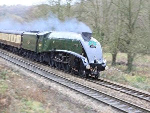 Steam Train