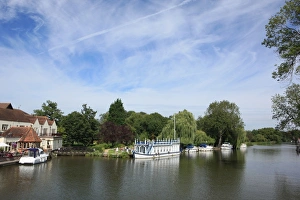The Swan