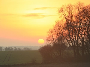 <b class=qtipBold><figcaption>Sunset</figcaption></b><br>A pale winters sunsets over a valley near Yanworth on a cold Febuary afternoon<br><em>© Paul Felix Photography Twelve Beacon Park Pelynt nr Looe Cornwall PL13 2PQ photos@paulfelix.co.uk 01503 221069</em> Sunset