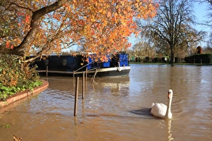 Stratford upon Avon