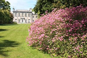 Trewithen House