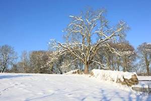 Upper Slaughter