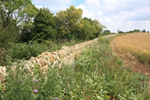 Walling