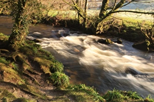 Golitha Falls