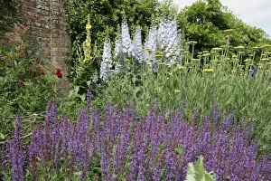 <b class=qtipBold><figcaption>Waterperry Gardens</figcaption></b><br>Some of the finest herbaceous borders in the counrty at Waterperry near Oxford Oxfordshire England Great Britain UK<br><em>© Paul Felix Photography Twelve Beacon Park Pelynt nr Looe Cornwall PL13 2PQ photos@paulfelix.co.uk 01503 221069</em> Waterperry Gardens