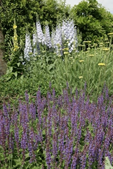 <b class=qtipBold><figcaption>Waterperry Gardens</figcaption></b><br>Some of the finest herbaceous borders in the counrty at Waterperry near Oxford Oxfordshire England Great Britain UK<br><em>© Paul Felix Photography Twelve Beacon Park Pelynt nr Looe Cornwall PL13 2PQ photos@paulfelix.co.uk 01503 221069</em> Waterperry Gardens