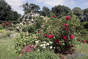Waterperry Gardens