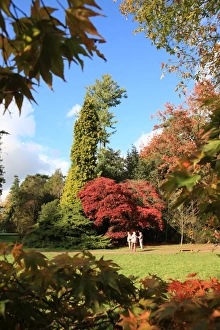 Westonbirt