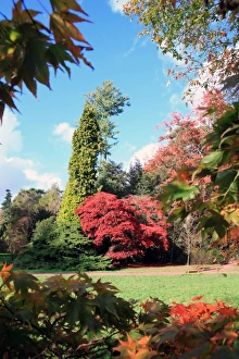 Westonbirt