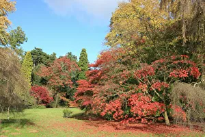 Westonbirt Westonbirt