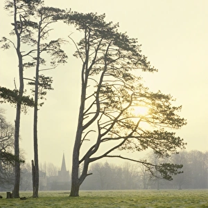 <b class=qtipBold><figcaption>Winter's Sun</figcaption></b><br>Early morning in late winter as the sun comes up over the church spire in the cotswold village of Down Ampney.<br><em>© Paul Felix Photography Twelve Beacon Park Pelynt nr Looe Cornwall PL13 2PQ photos@paulfelix.co.uk 01503 221069</em> Winter's Sun